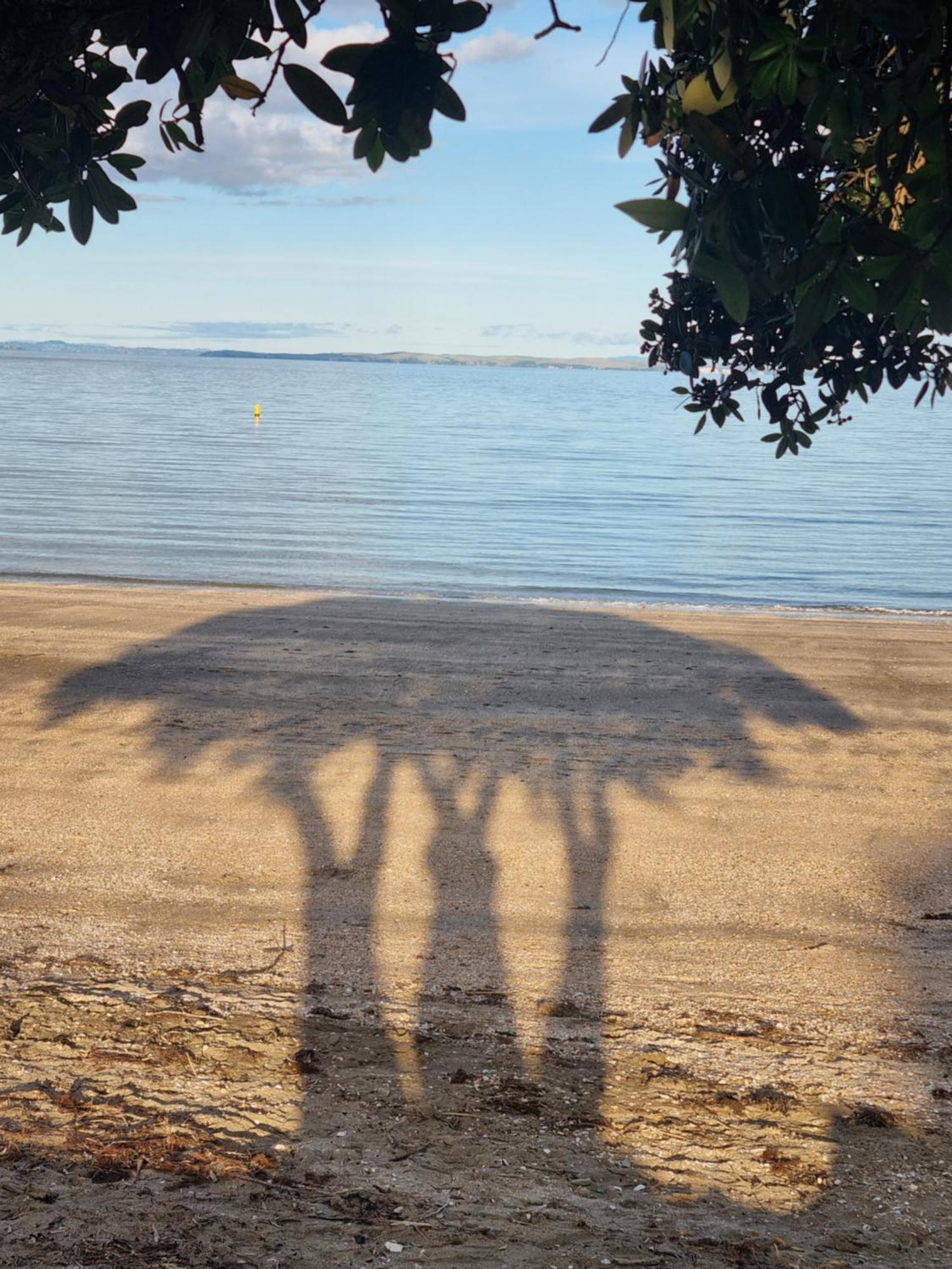 Beachfront Beauty 方格帕罗阿 外观 照片