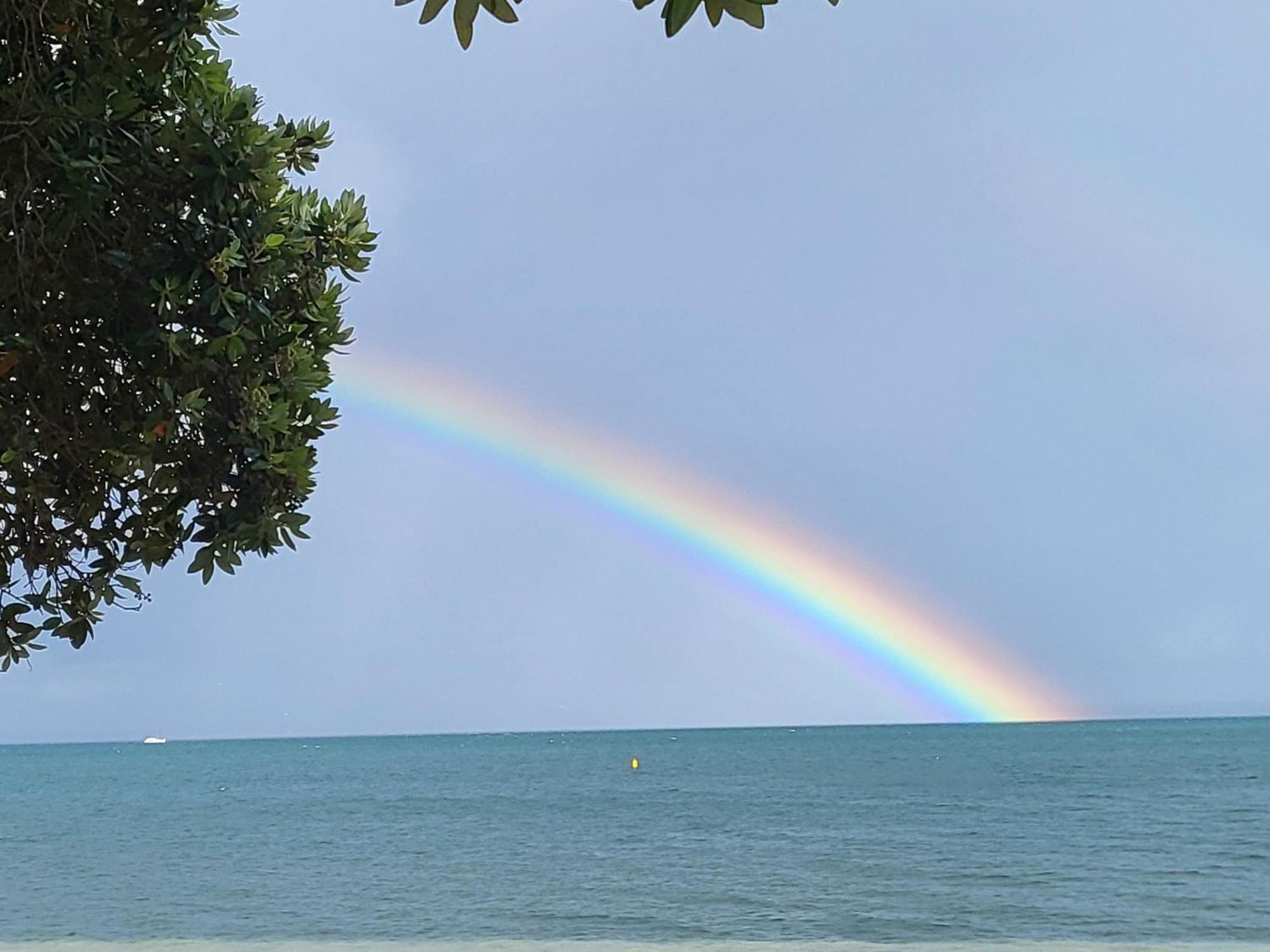 Beachfront Beauty 方格帕罗阿 外观 照片